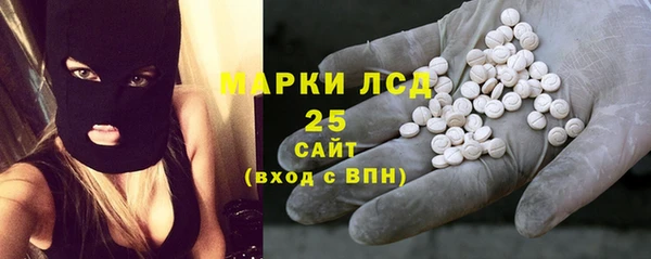 прущие грибы Надым