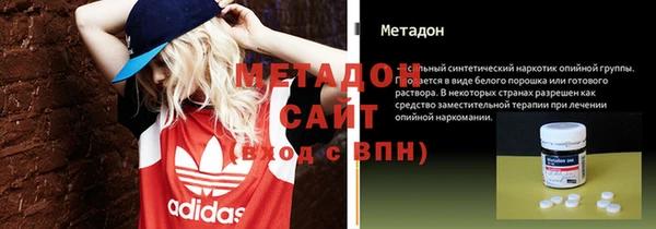 прущие грибы Надым