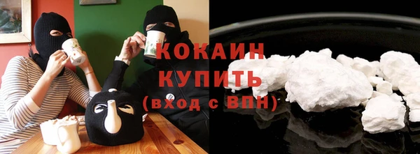 прущие грибы Надым