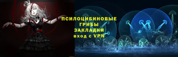 прущие грибы Надым