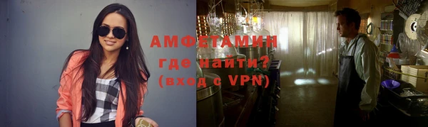 прущие грибы Надым