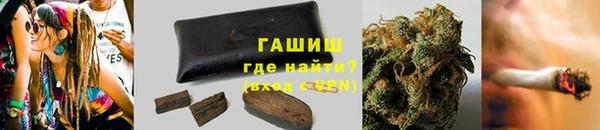 прущие грибы Надым