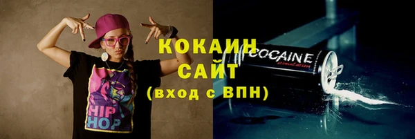 прущие грибы Надым