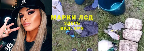 прущие грибы Надым