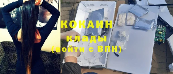 прущие грибы Надым