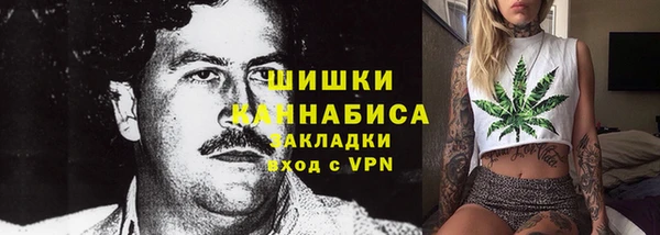 прущие грибы Надым