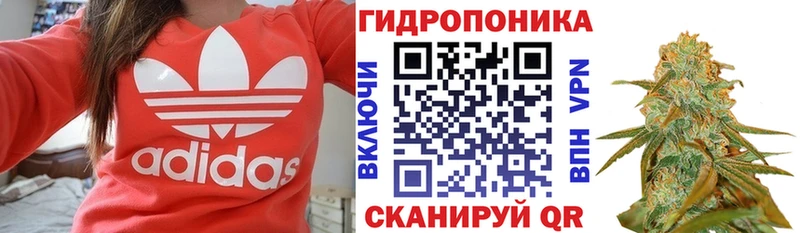 Купить  Абакан  Марихуана индика 